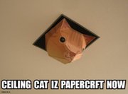 Ceilingcat_papercraft2